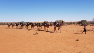 Desert expedition